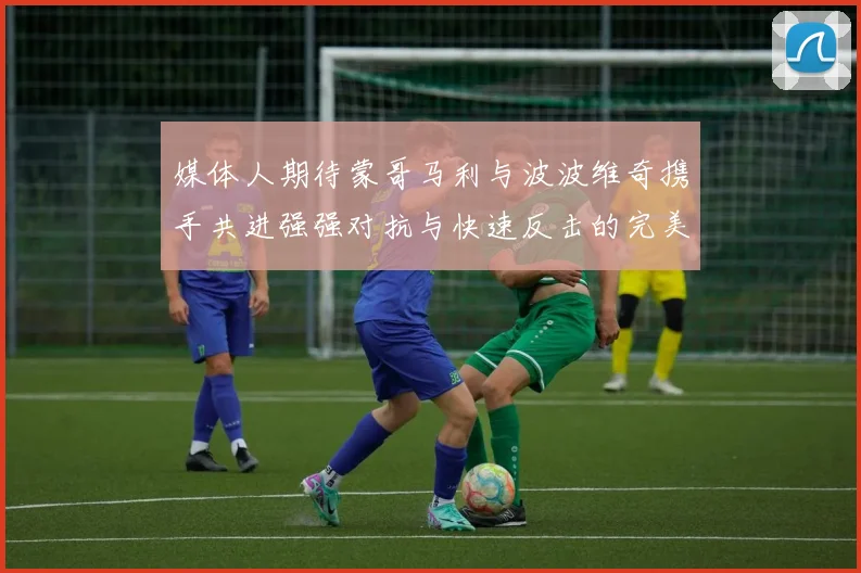媒体人期待蒙哥马利与波波维奇携手共进强强对抗与快速反击的完美结合